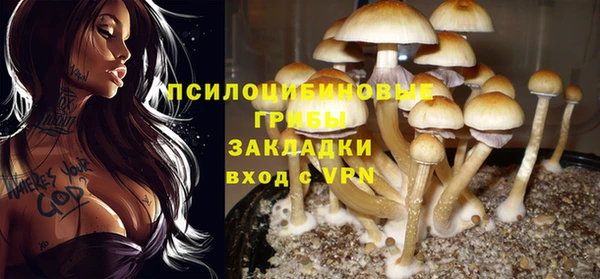 прущие крисы Покровск