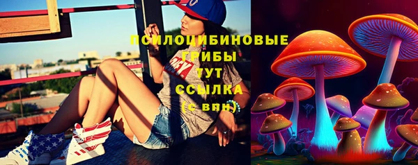 кокс Пересвет
