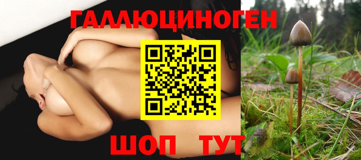 Азнакаево  Псилоцибиновые грибы MAGIC MUSHROOMS  Псилоцибиновые грибы Psilocybe  Вход с VPN 