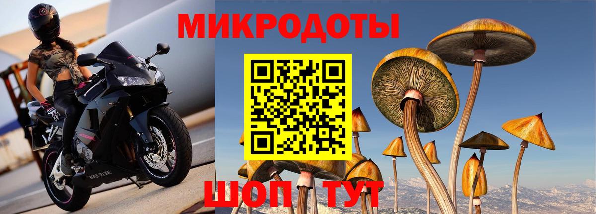 Галлюциногенные грибы Psilocybine cubensis Азнакаево