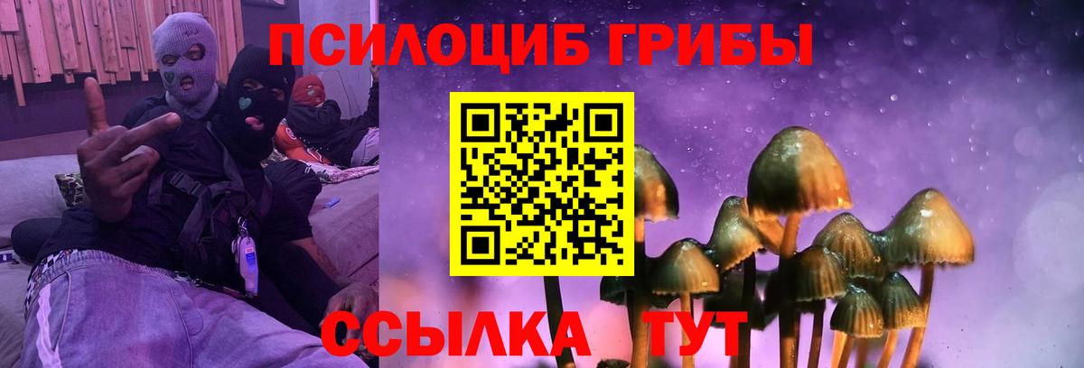 Псилоцибиновые грибы Cubensis Азнакаево